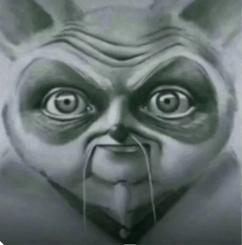 shifu