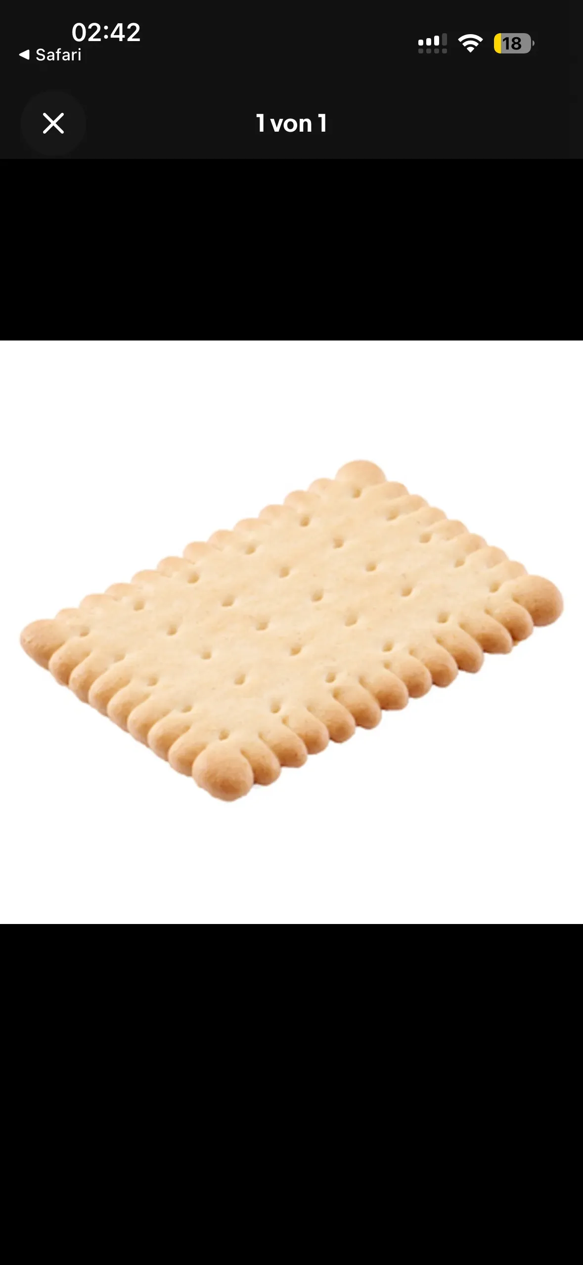 Biscuit