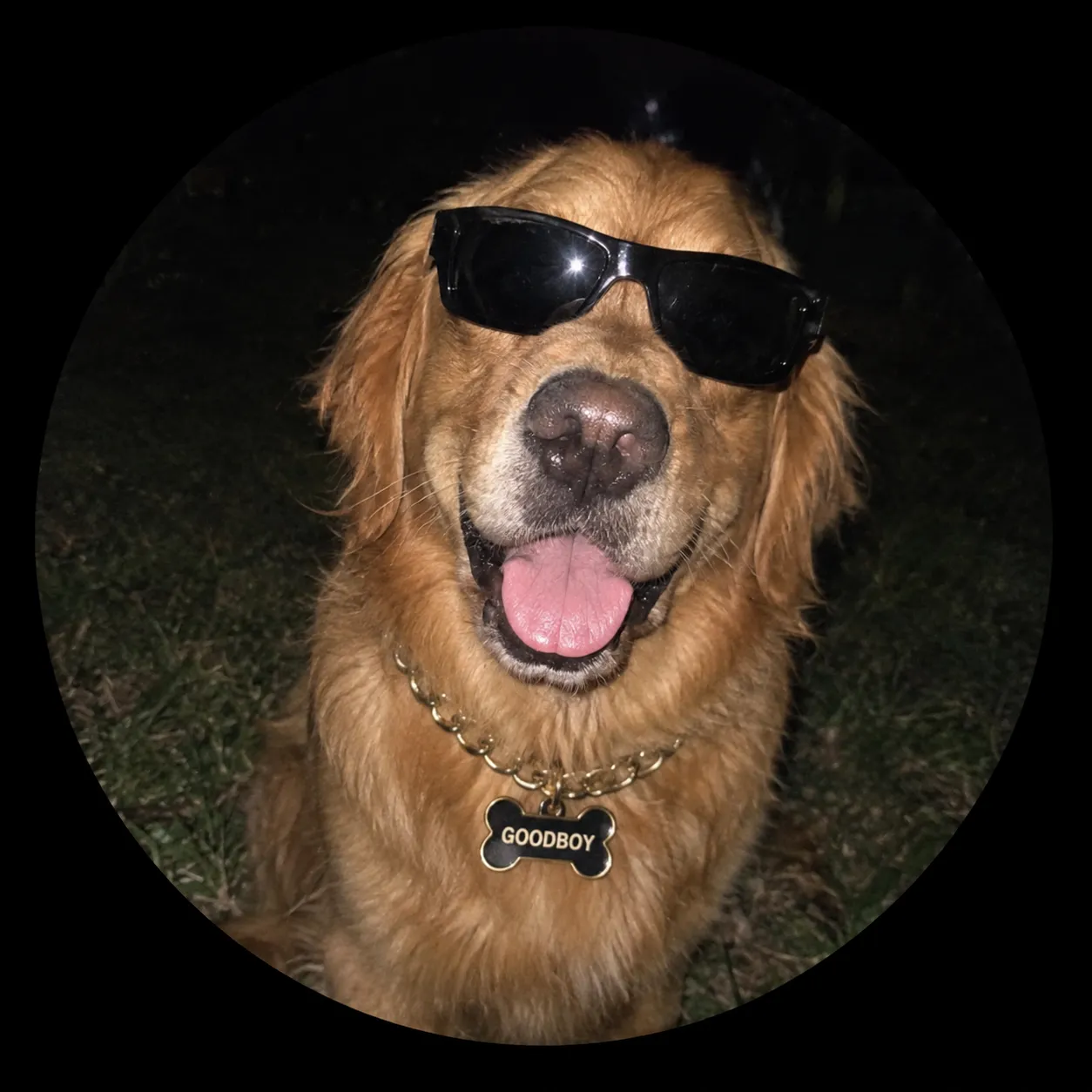 Goodboy